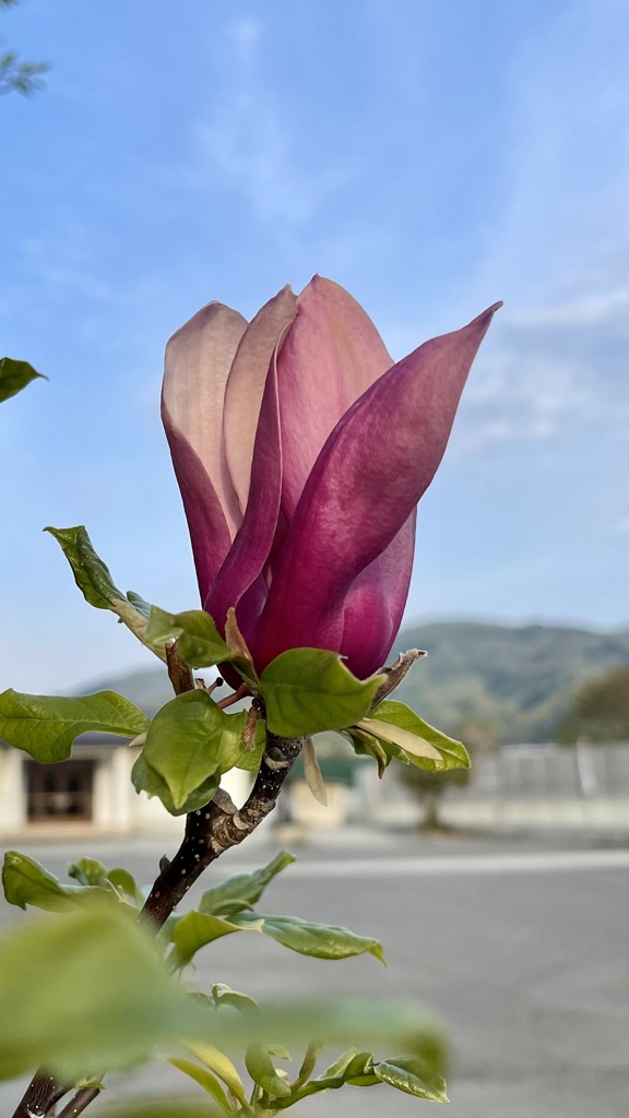 543965F0-53F7-4F8C-8186-C492F03EF377