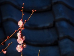 699D66F6-197E-4142-8F61-824421DA502F