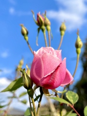 9B392CA6-6C2F-4C78-B744-BE9721BE8BDD
