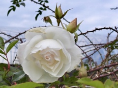 F78126B8-A2FA-48AC-A4AE-157AE5E50D8A