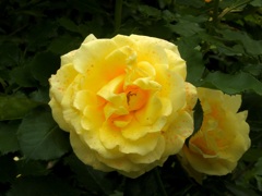 1DC53019-3F22-460E-B5CD-17A9A0FB399C