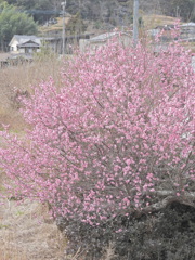 97C0B0AF-3E6F-4582-9B20-5765CBEBC134