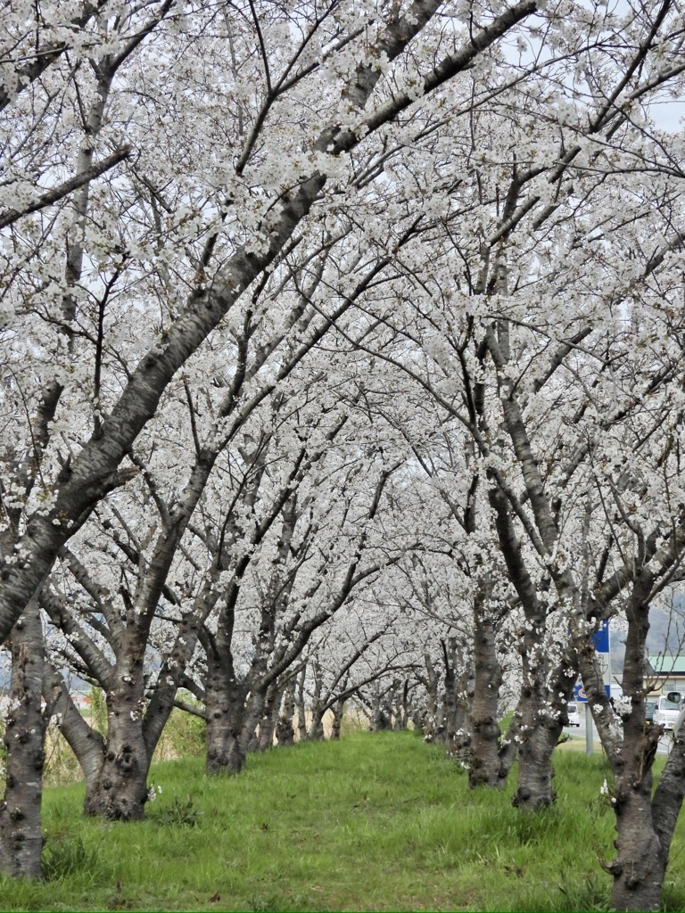 DD44BC7A-97F8-4719-A622-DE336DD290FD