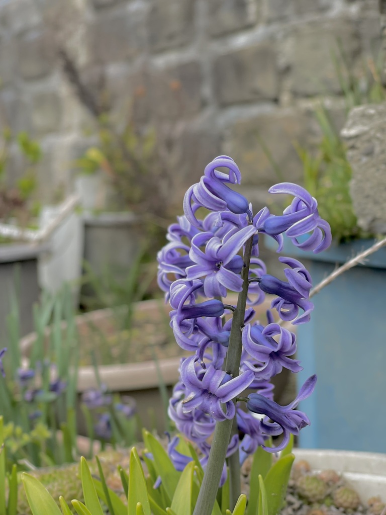 02EF174B-1D4E-4500-B23D-AAA9D799592C