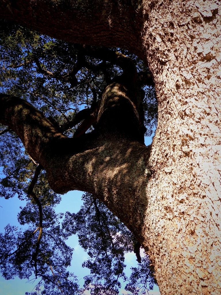 85028474-8675-4C2C-ACB3-23A670130D16