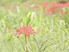04DEB177-C2A8-4F8E-98A4-328B3C0BF3FF