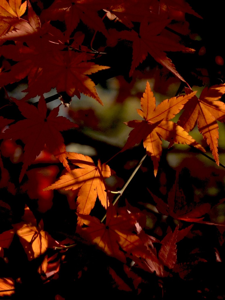 95AD22C0-6544-421D-8013-0C58BCE54727