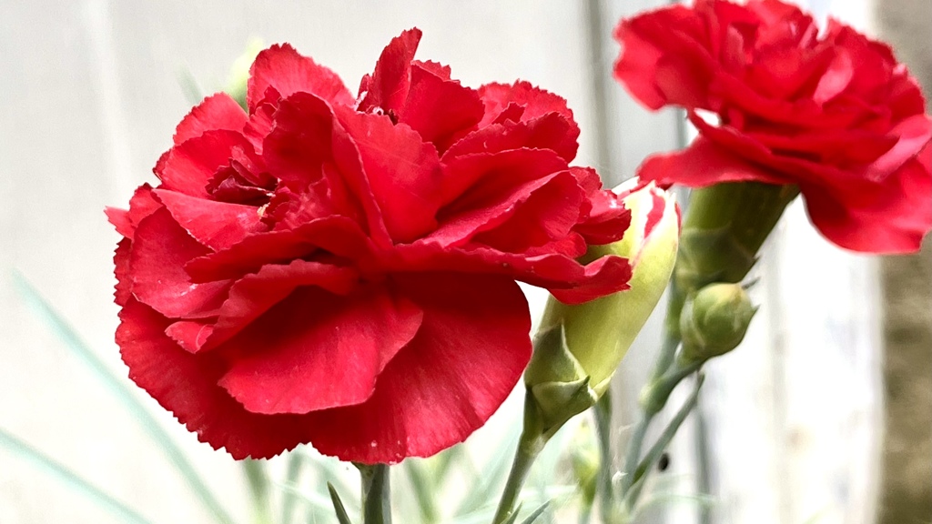 EC65ED01-F212-4F30-867F-586632CA1BDC