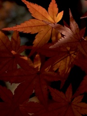 950D839B-5537-44E6-8FC6-680B7BC3A6F2