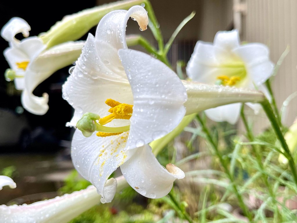 68F5EDE7-DC24-4B3B-A671-E7409F2BF3F0