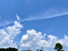 4BBC0F1D-8E22-4B38-BFAC-9336FBDDF8E0