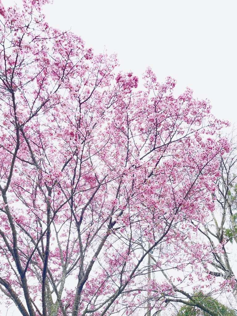 BEDB74BE-4658-41E3-BDCD-A15279F5F914