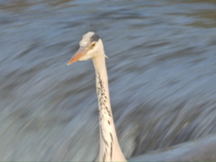 18C4E329-ED61-4695-98C1-519F4DA1DF47