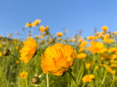 1BF27ACA-5DE2-4831-B68C-4455D27C4DAC