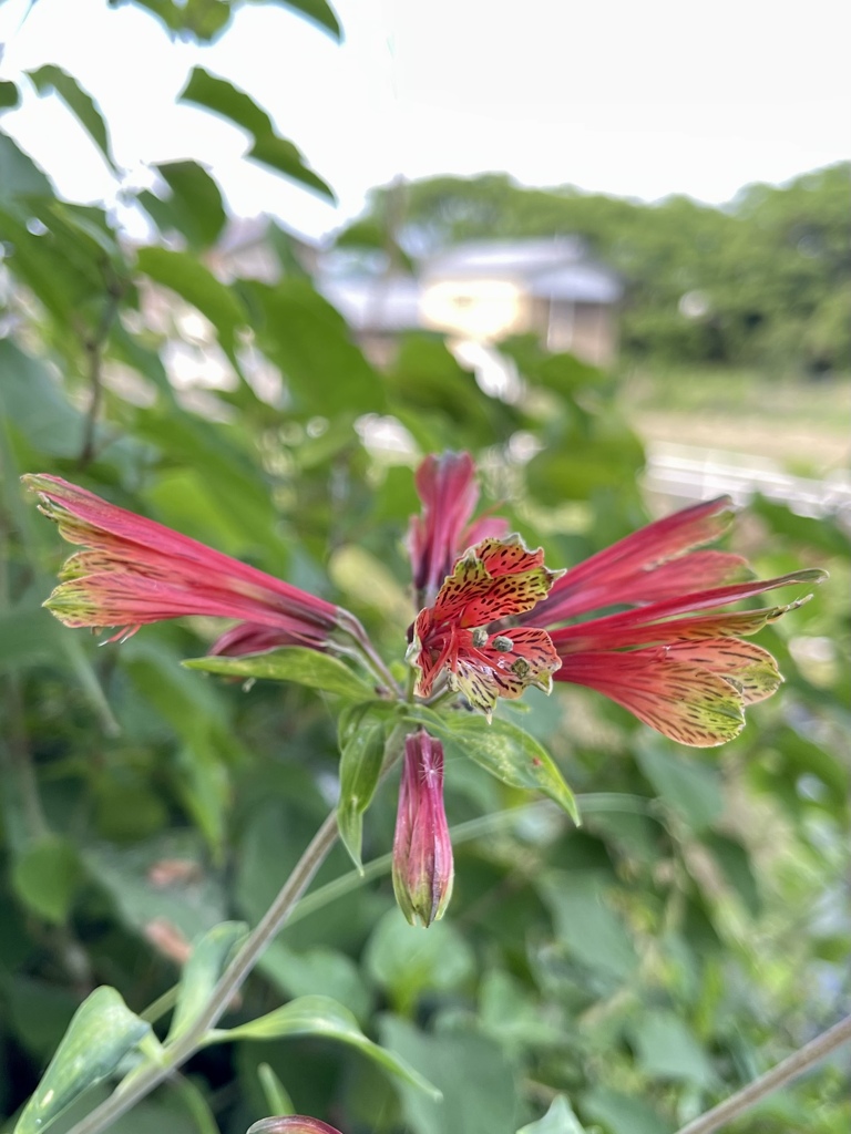 9D71BD08-10B9-4255-8A38-D188536FE6A8