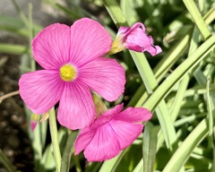 92FB8BFA-B105-4ECB-ABD6-92E5200F5A9E