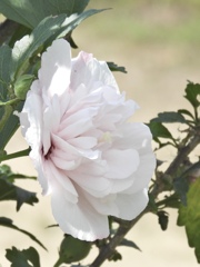 25AE4390-E259-40E8-B046-A46FF6A59ED2