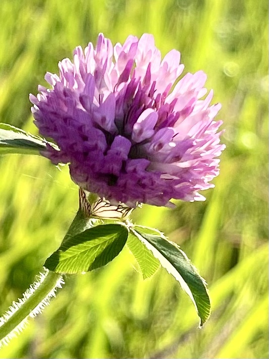 0A7639A4-B407-47D4-A587-4011CF526272