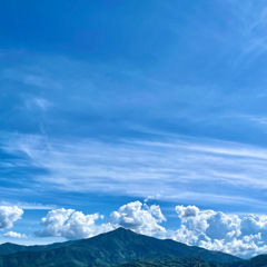 D2C661DA-7572-48F3-847C-A7C9B752ED1B