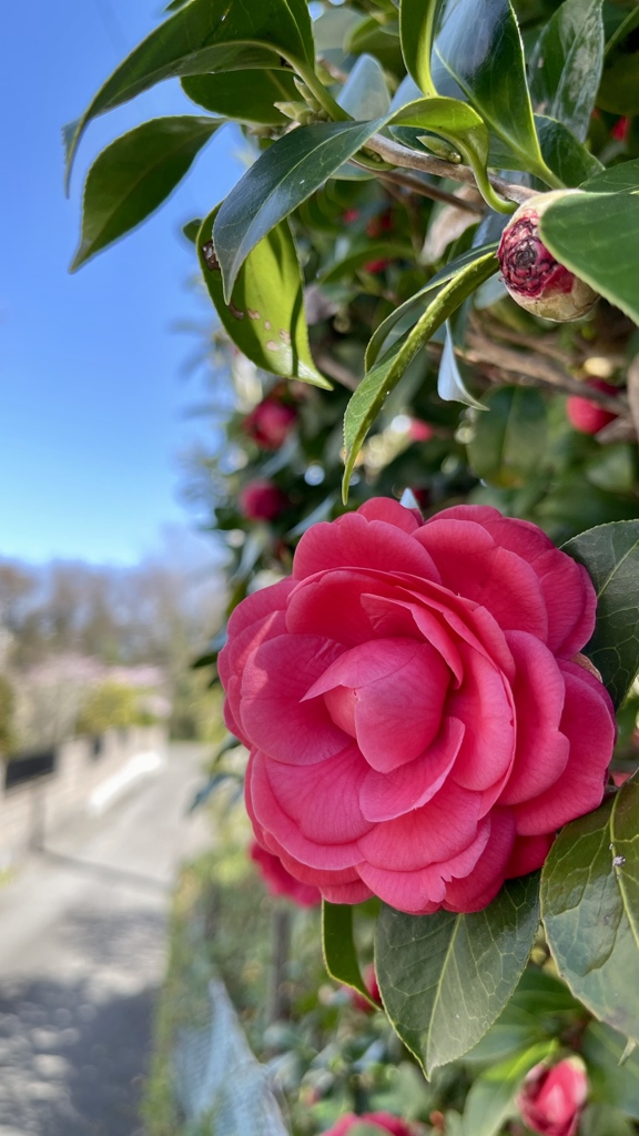 978EC993-830B-4BBE-8E73-7281208C6BCE