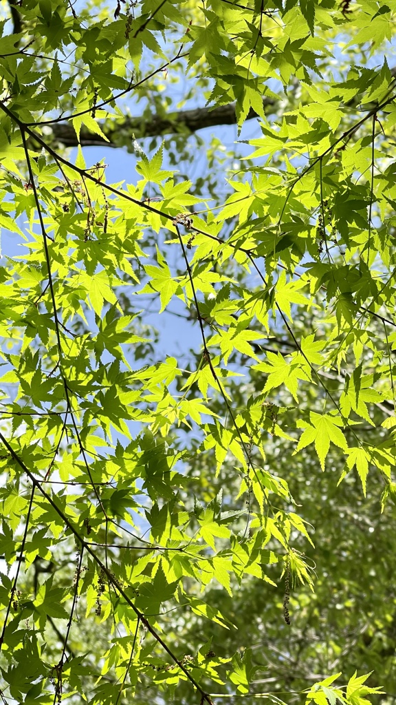 705ABB6F-1BFD-4D37-9463-7F09CEB04795