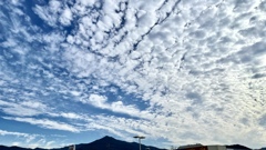 C61C5688-02AA-4688-BA74-6C7DAD3015A5