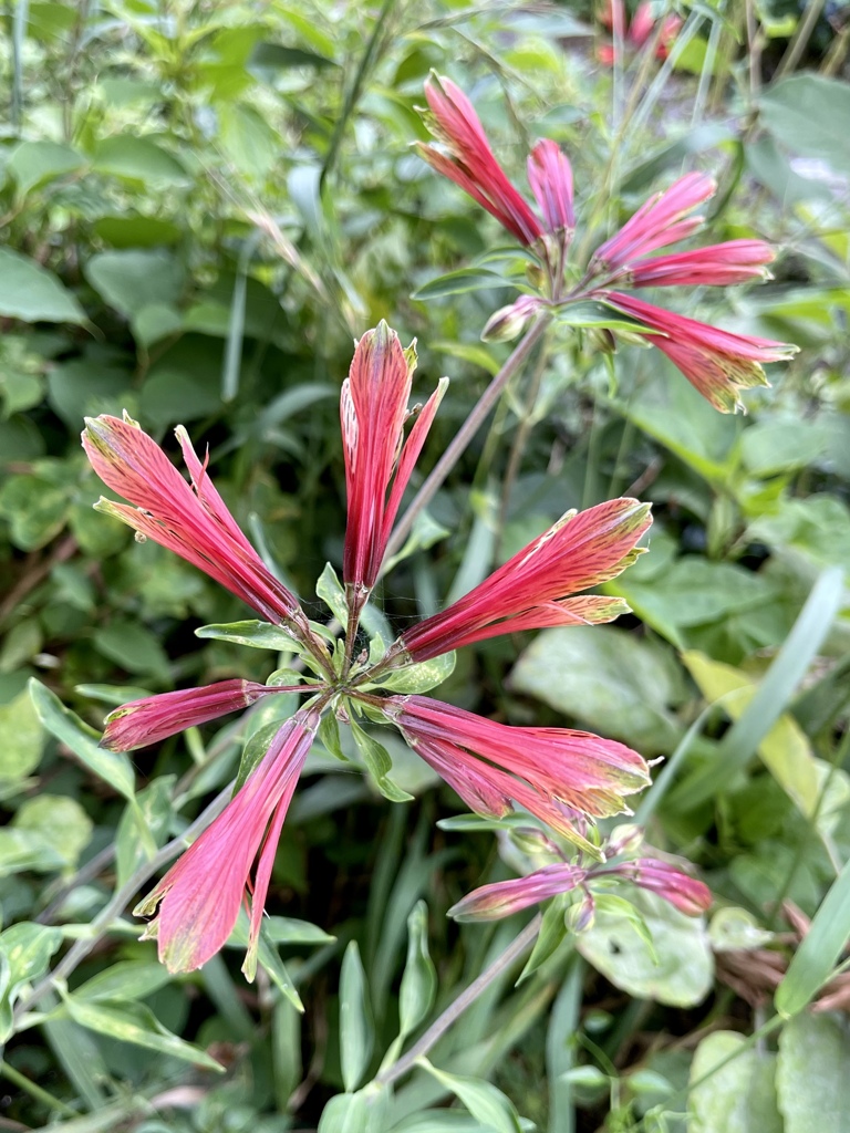 E4BDC47A-CA57-4613-95FF-C2E5D6D0480D