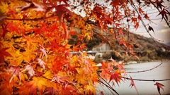 A0B76545-EBC6-40C7-AE7E-55A783B38950