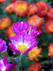 F66D4387-389D-4D78-8C26-3A05B16759C8