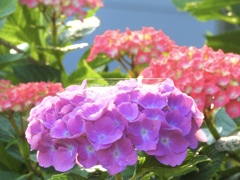 7DEF37CD-8850-47BD-9224-C0C1FCDFEEDB