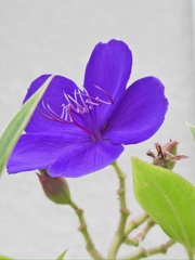 950627B2-C1EA-4E05-B8FB-188C5E5B4CD7