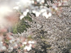 2F2B9A44-9E19-4945-B13C-ED838B49244A