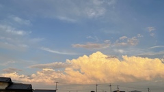 529F5E2B-7AB0-42E2-AE51-37B6E8A0D6C6