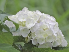 0F59CA7B-54C1-4B02-8DA0-5E5398FFBF7C