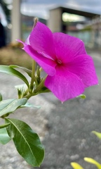 0217ACC9-C1ED-4AB1-960B-B10ED77013ED