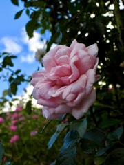 3D64D39E-D0A0-4F98-AE05-F0509688DDD4