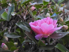 A8716264-D492-4294-BFE2-EAA49945F067