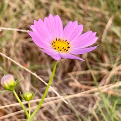 DAAADDD2-EDF3-4941-BA84-41B3312049C6