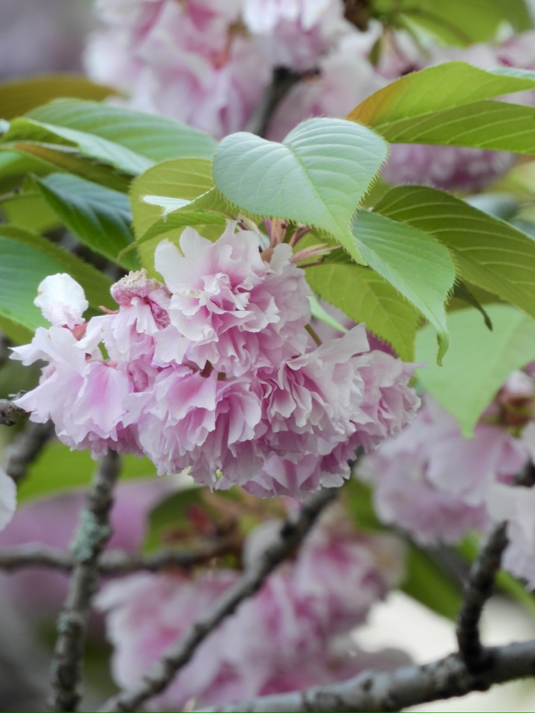 2EB7A3E0-B4D1-4E1C-AAAC-397358A60832