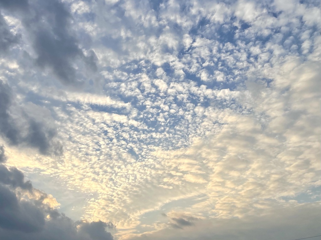 1ED8F242-C6D6-4A13-A9FA-960508347F83