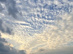 1ED8F242-C6D6-4A13-A9FA-960508347F83