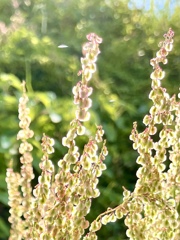 07739298-673A-4ED1-BA78-CA884C777612