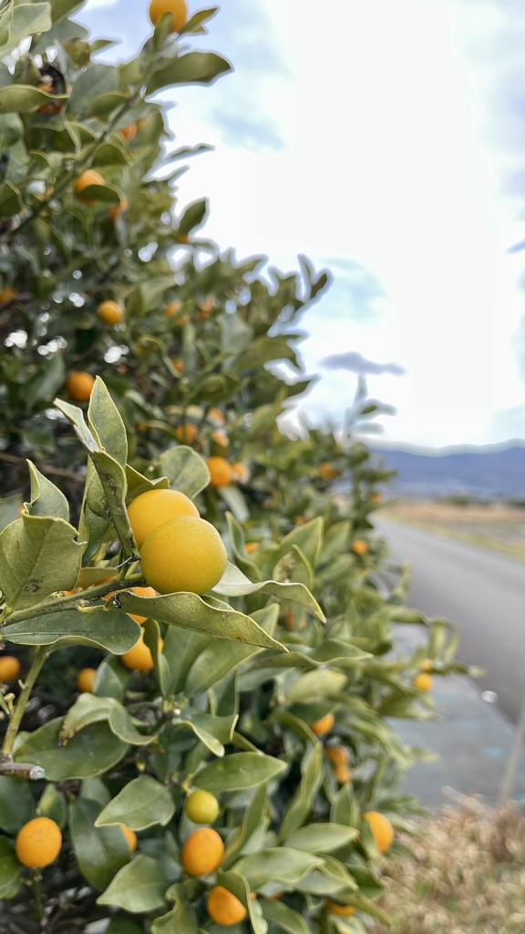 0C5A623F-CB4F-424A-9F71-255FE64AFA94