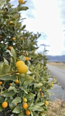 0C5A623F-CB4F-424A-9F71-255FE64AFA94