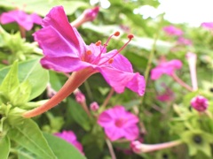 B690B1C8-6C36-4717-AA52-E4C281F5370F