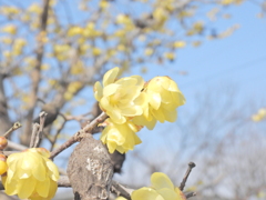 D59E29D2-D8CE-43A8-A3F5-7B30685F071A