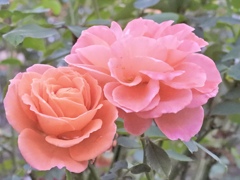 3505BB7B-588B-479F-AE25-EDE1EB6C35D0