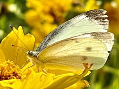 02881076-AC51-4C91-8952-03B196F4C133