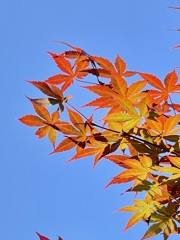 1AFE64F4-AE13-40FD-8B1A-2C6A09B8460E