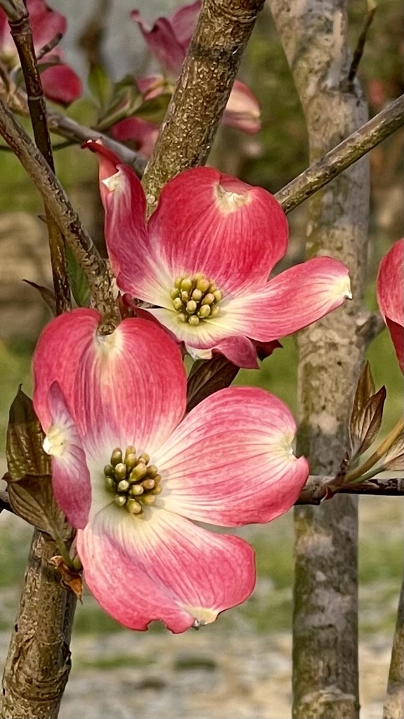 365F7C23-EF7D-480B-836F-9BF5BD19BAF5